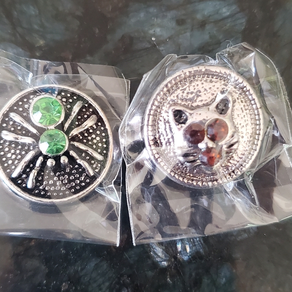 Green Spider and Brown Cat Snaps